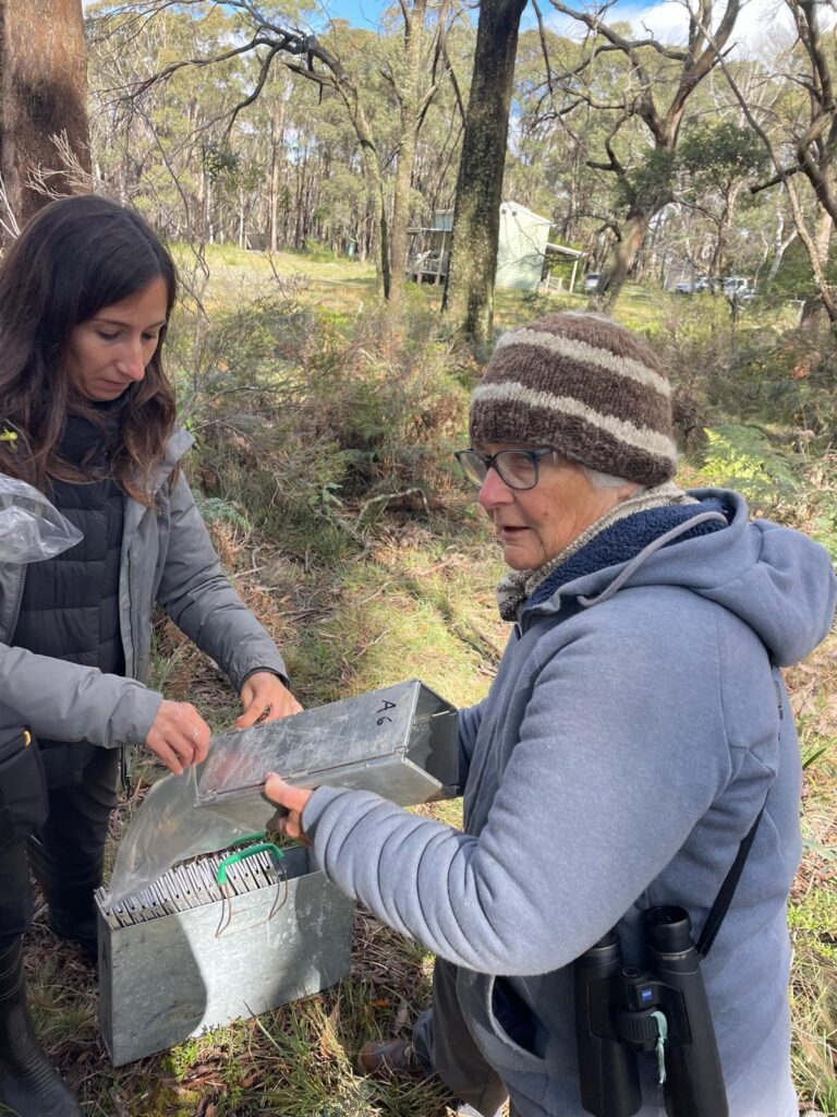 Sonia and ecologist Anne Kerle, in a beanie with binoculars, preparing a metal Elliott trap in the bush.