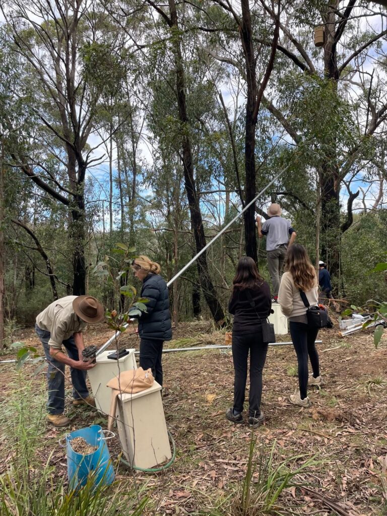 Volunteers in the forest assembling wooden nest boxes and a long metal pole, with a nest box already mounted high in a tree.