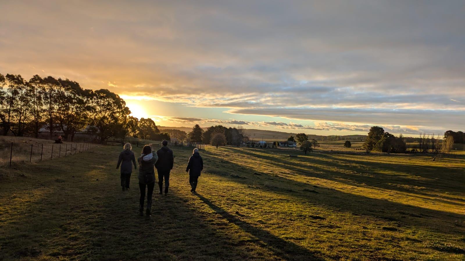 Four volunteers walking across a grassy paddock towards farm buildings at sunset, with gum trees and rolling hills near Taralga.