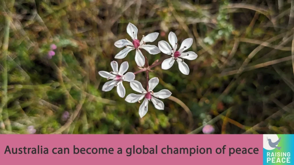 A cluster of white and pink native Australian flowers, with the words “Australia can become a global champion of peace” and the Raising Peace logo.
