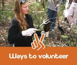 ways_to_volunteer